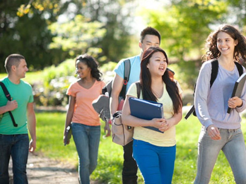 快速切换主题的网页版短信攻击